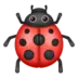 Lady Beetle