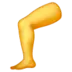 Leg