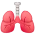 Lungs