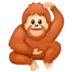 Orangutan