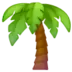 Palm Tree
