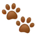 Paw Prints
