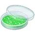 Petri Dish