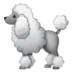 Poodle