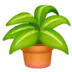 Potted Plant