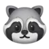 Raccoon