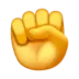 Raised Fist