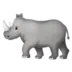Rhinoceros