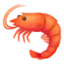 Shrimp