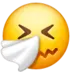 Sneezing Face