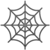 Spider Web