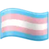 Transgender Flag
