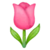 Tulip