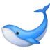 Whale