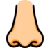 Nose