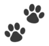 Paw Prints