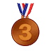 🥉 Бронзовая медаль