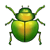 🪲 Жук