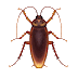 🪳 Таракан