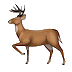 🦌 Олень
