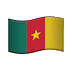 🇨🇲 Флаг Камеруна