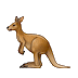 🦘 Кенгуру