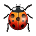 🐞 Божья коровка