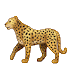 🐆 Леопард