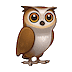 🦉 Сова