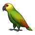 🦜 Попугай