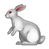 🐇 Кролик