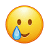 🥲 Улыбающееся лицо со слезой