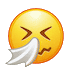 🤧 Чихающее лицо