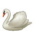🦢 Лебедь