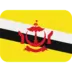 Flag: Brunei