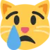 Crying Cat