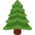 Evergreen Tree