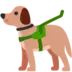 Guide Dog