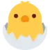 Hatching Chick