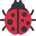 Lady Beetle