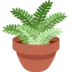 Potted Plant