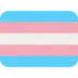 Transgender Flag