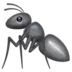 Ant