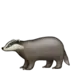 Badger