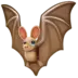 Bat