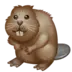 Beaver