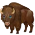 Bison