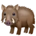 Boar