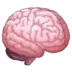 Brain