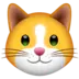 Cat Face